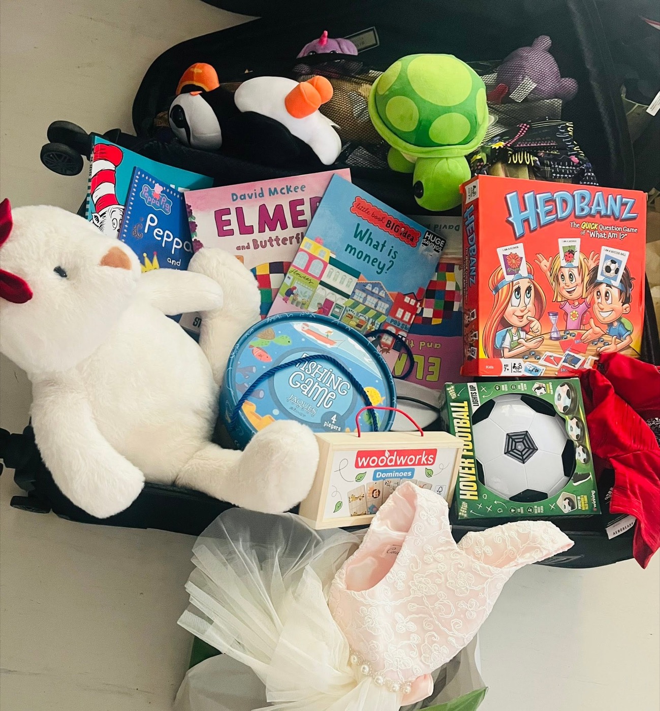 Toys, books and games donated to Wishing Well Inc.